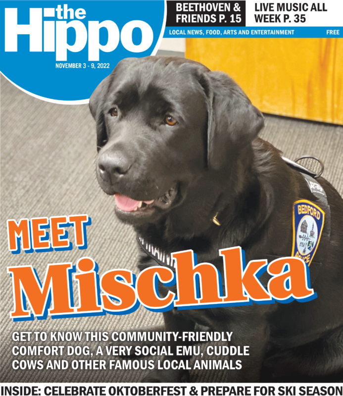 Meet Mischka — 11/03/22