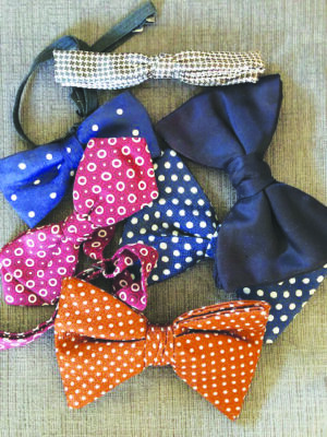 multiple colored bow ties