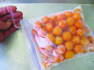 plastic bag filled with small orange tomatoes, straw sticking out of it