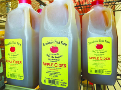 bottled apple cider in a carton