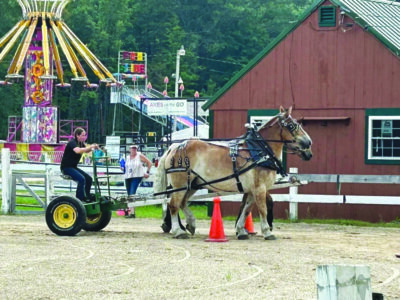 person sitting on small farm cart being pulled by horses across dirt enclosure set up with orange cones at outdoor fair