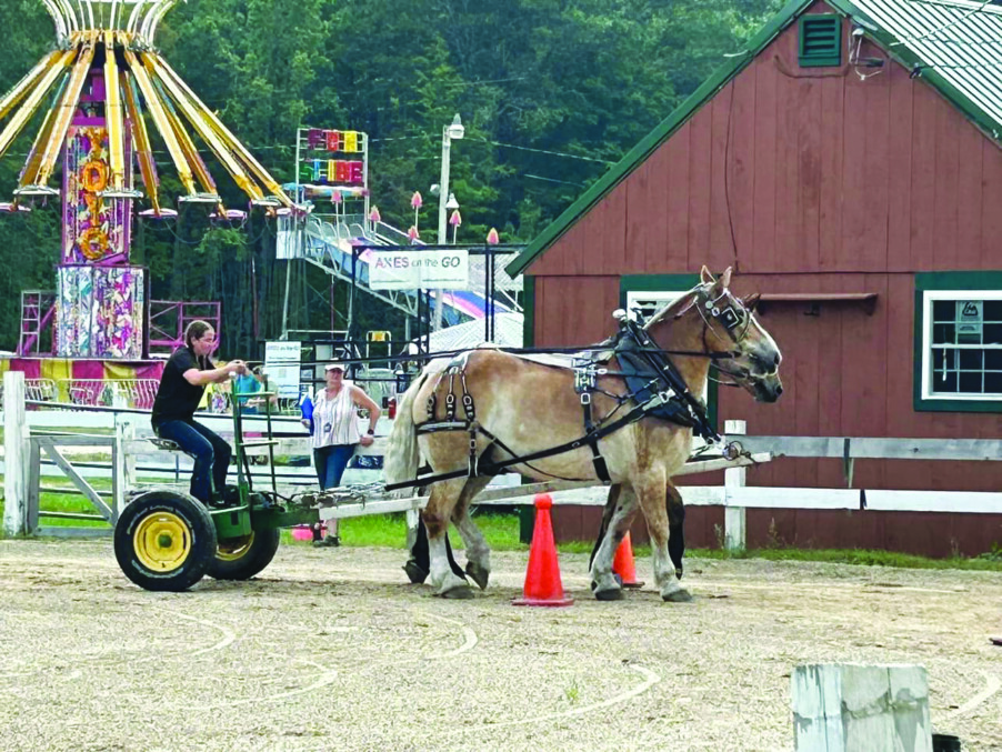 Horses, goats and a clown