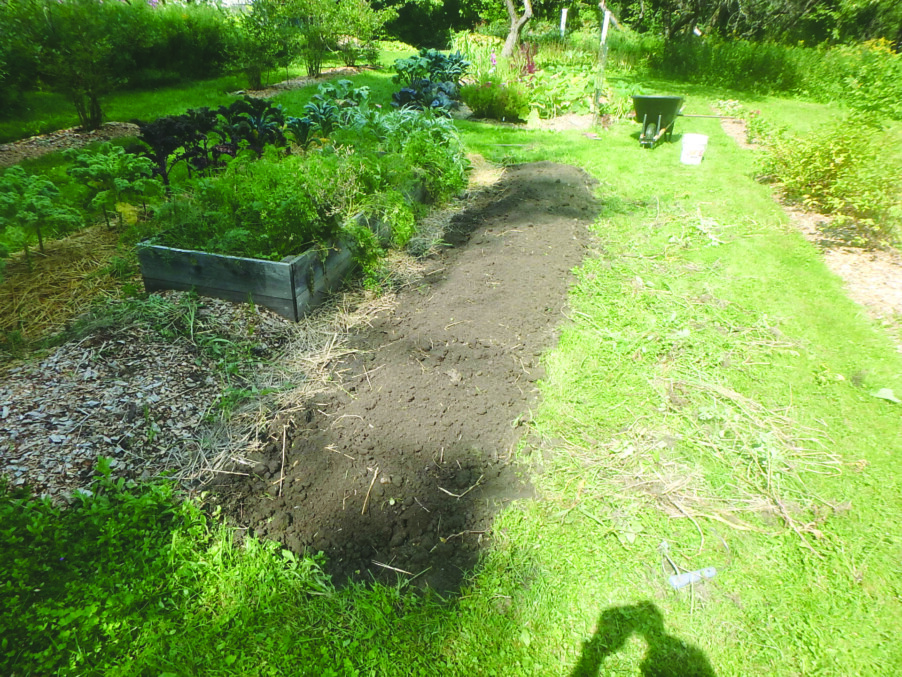 Fall gardening chores