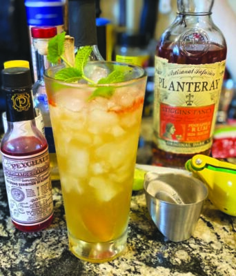 cocktail in tall glass with ice and sprig of mint sitting on counter with ingredients