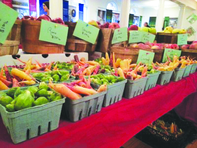 long table with bins of vegetables for sale