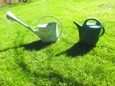 two watering cane sitting on grass lawn on sunny day