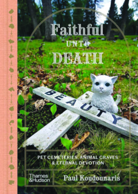 book cover showing small cat figurine in grass beside fallen wooden cross