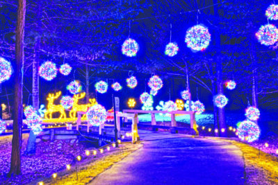 A path at night covered in pretty purple, blue, and yellow Christmas lights