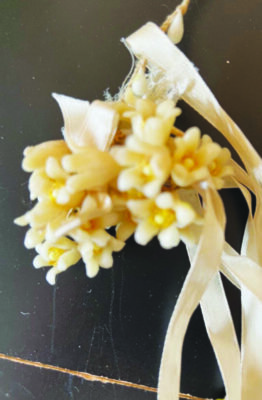 A small collection of yellow and white wax flowers.