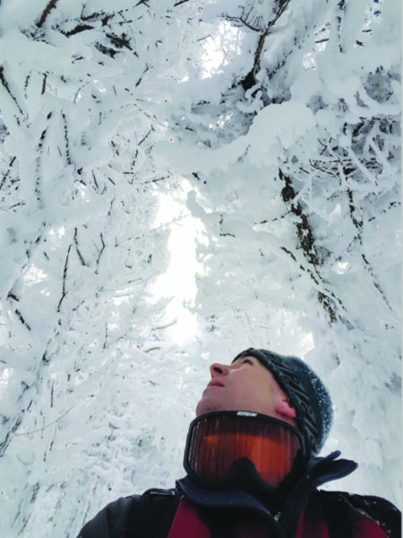 Man looks up at snow covered tree tops.