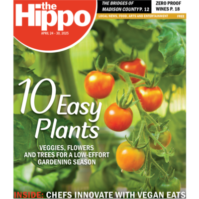Front page of Hippo showing cherry sized orange tomatoes hanging off branches of tomato plant
