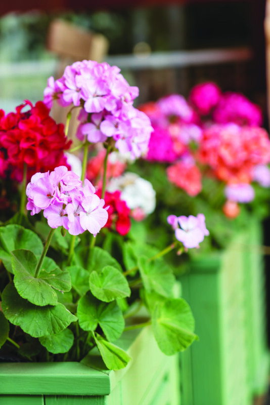 This Week 25/05/15