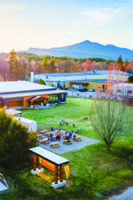 high shot of outdoor patio and yard at brewery, with picnic tables, buildings in the mid ground, mountain peak in the far distance.