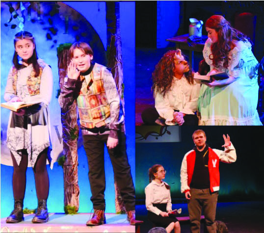 Peacock Players’ past productions. Courtesy photo.