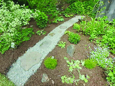 A pebble path in a small garden with large flat walking stones.