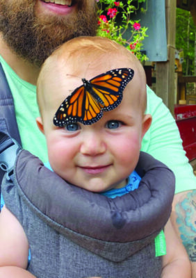baby sitting on man's lap, smiling, looking forward, with monarch butterfly resting on child's forehead