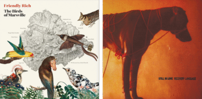 album covers for Friendly Rich, The Birds of Marsville and Still in Love, Recovery Language