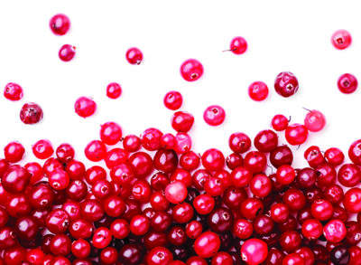 Cranberry berry background close-up on white, isolated. The view from top