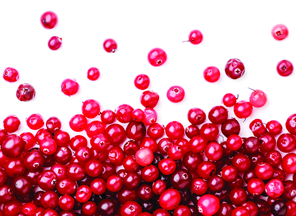In praise of Cranberries