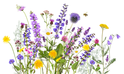 collage of spring flowers