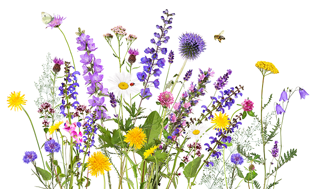 131 exciting things to do in the spring