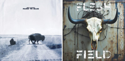 album covers for Flesh Field, On Enmity and Big Harp, Runs to Blue