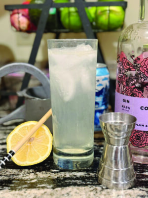tall collins glass filled with clear liquid and ice cubes, on counter beside lemon, bottle of gin, and jigger