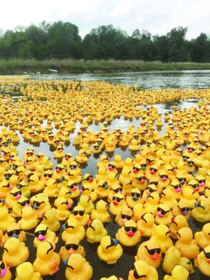 hundreds of yellow rubber ducks with sunglasses floating in river