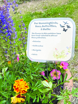 The bees’ needs