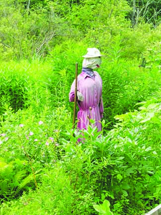 Introducing art, whimsy and laughter into your garden