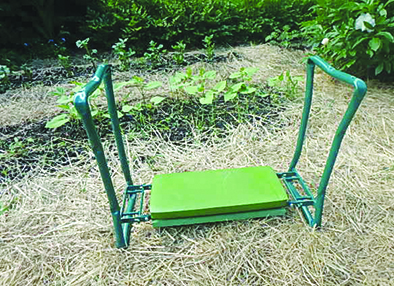 It’s time to pay attention to the vegetable garden