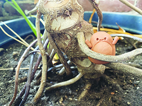 close up of small clay monster hiding in the bottom of potted plant
