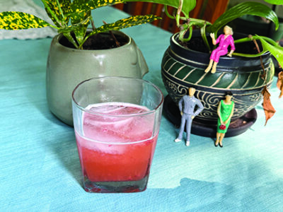 cocktail in short ball glass on table near potted plants, with little plastic figures posing on plant