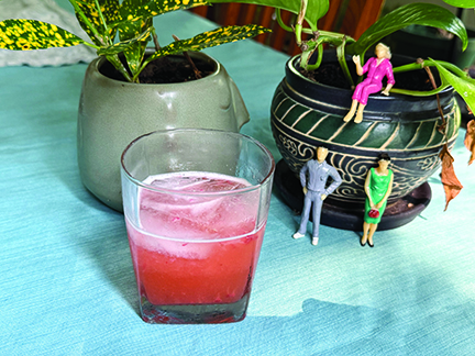 cocktail in short ball glass on table near potted plants, with little plastic figures posing on plant