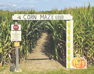 entrance to corn maze with painted wooden frame