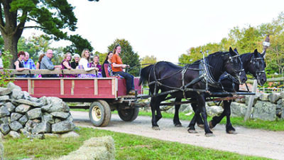 people riding in an open wagon fitted with benches, pulled by two dark horses, down a little dirt road on a farm
