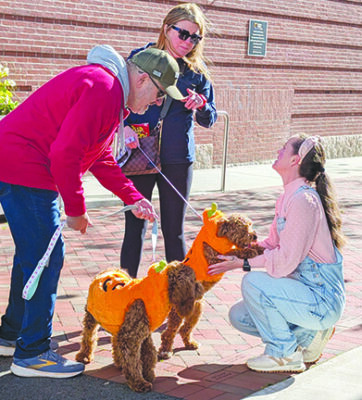 woman crouching to pet two dogs wearing pumpkin costumes, dogs leashed by man and woman each holding one